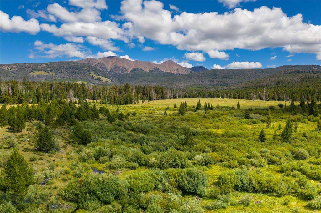 Moose Creek Headwaters - MT Hunting Ranch - Western Ranch Brokers