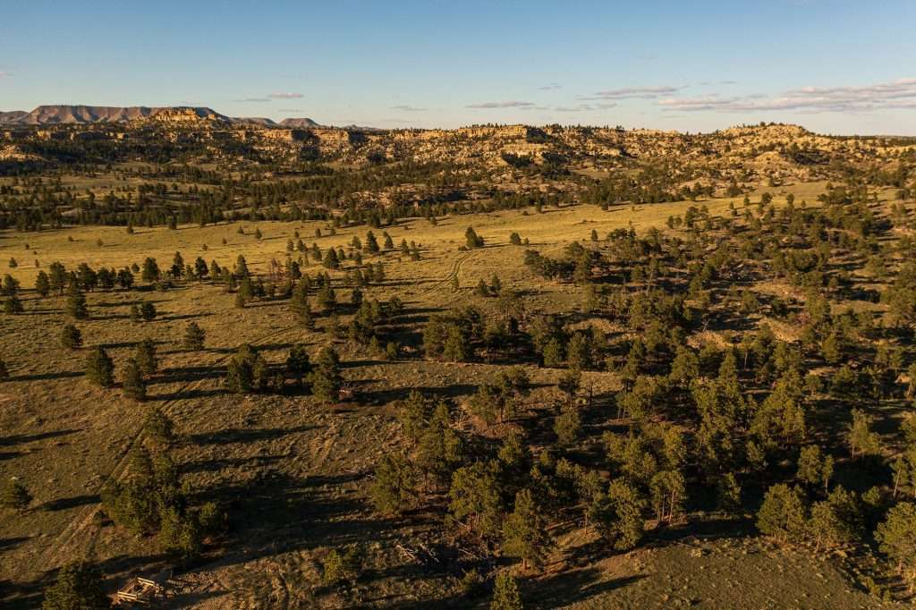 Landscape with rocky outcroppings and trees on a Montana ranch for sale
