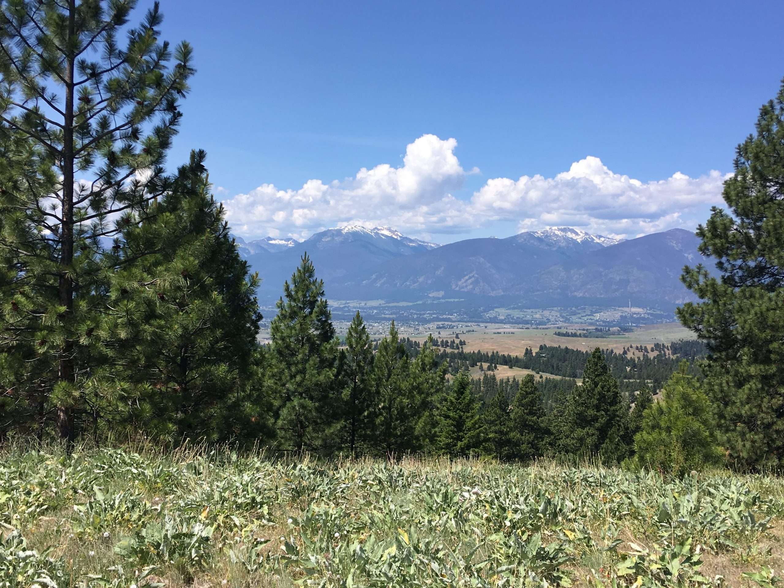 Bitterroot Overlook on Eight Mile Creek ranch for sale in Montana