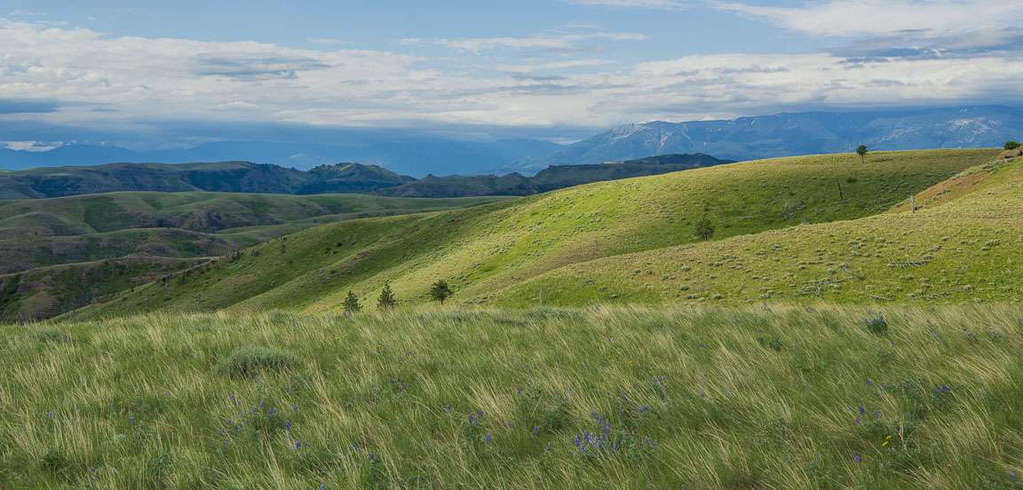 Grassy hills with mountain back drop on a Montana ranch for sale